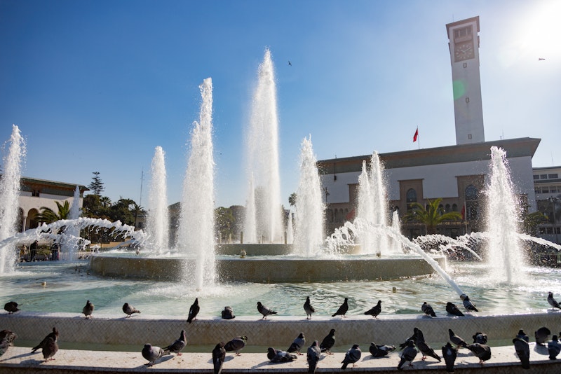 Fuente publica infestada de palomas